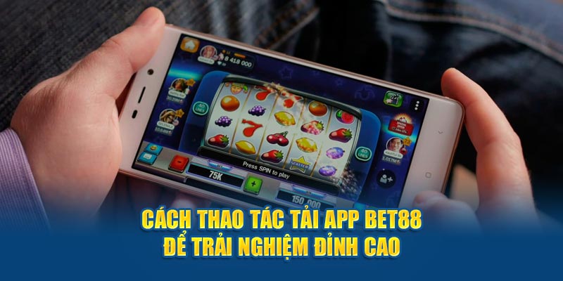 Sử dụng link từ nhà cái