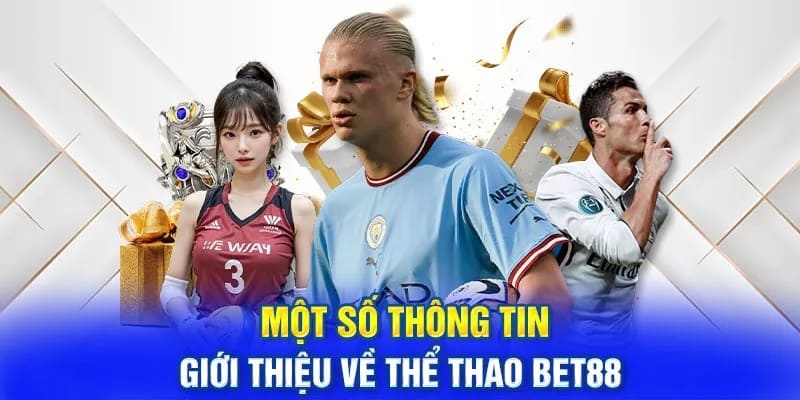 Giới thiệu sảnh cược thể thao tại BET88